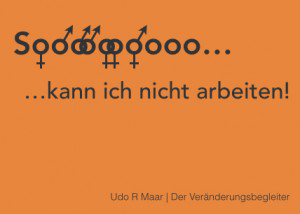 SO kann ich nicht arbeiten - Udo Maar